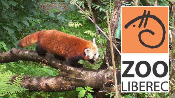 Tři zásadní důvody proč by měla ZOO Liberec přejít pod správu kraje